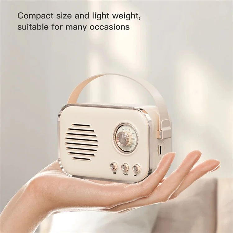 P33 Plus FM-Radio Bluetooth-Lautsprecher mit kabellosem Mikrofon Karaoke-Maschine für zu Hause - Pink