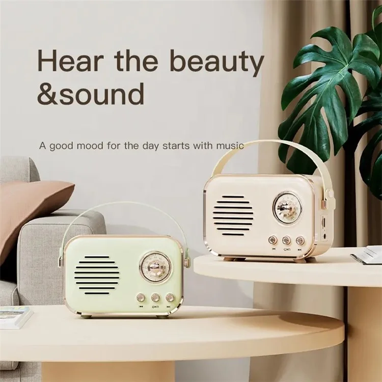 P33 Plus FM-Radio Bluetooth-Lautsprecher mit kabellosem Mikrofon Karaoke-Maschine für zu Hause - Pink