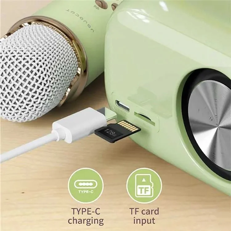 C20 Plus Home Karaoke Wireless Bluetooth-compatible Speaker Support TF Card, with Microphone - Grass Green