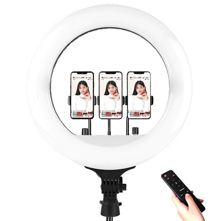 RL21 21 Inch Dimmable LED Ring Light with Remote Control for Live Streaming / Video Shooting (No Battery) - EU Plug