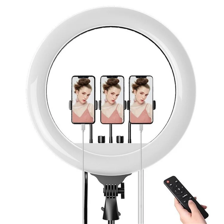 RL21 21 Inch Dimmable LED Ring Light with Remote Control for Live Streaming / Video Shooting (No Battery) - EU Plug