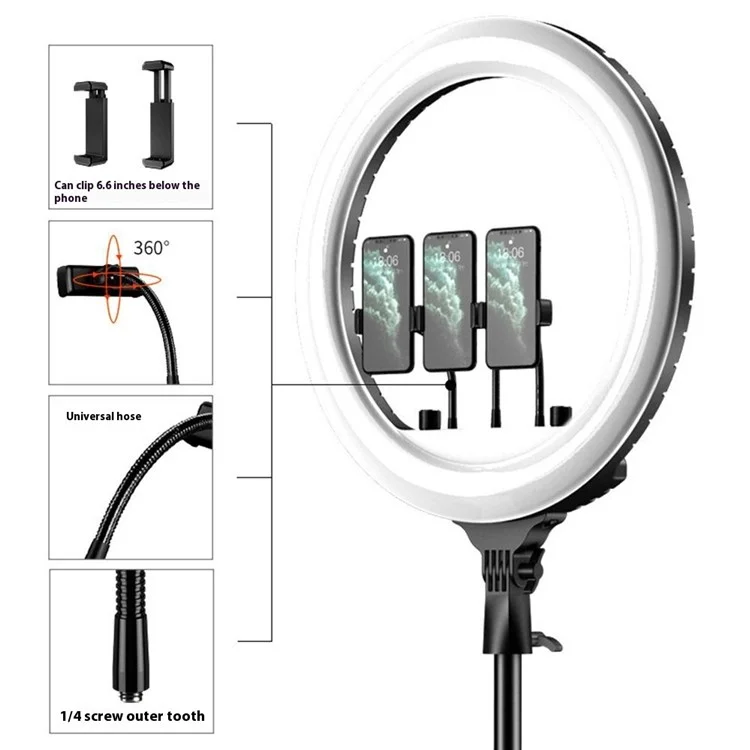RL21 21 Inch Dimmable LED Ring Light with Remote Control for Live Streaming / Video Shooting (No Battery) - EU Plug