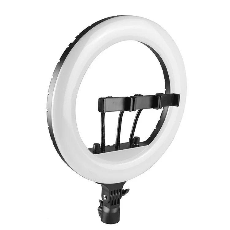RL14 14 Inch Dimmable LED Ring Light with Remote Control for Live Streaming / Video Shooting (No Battery) - US Plug