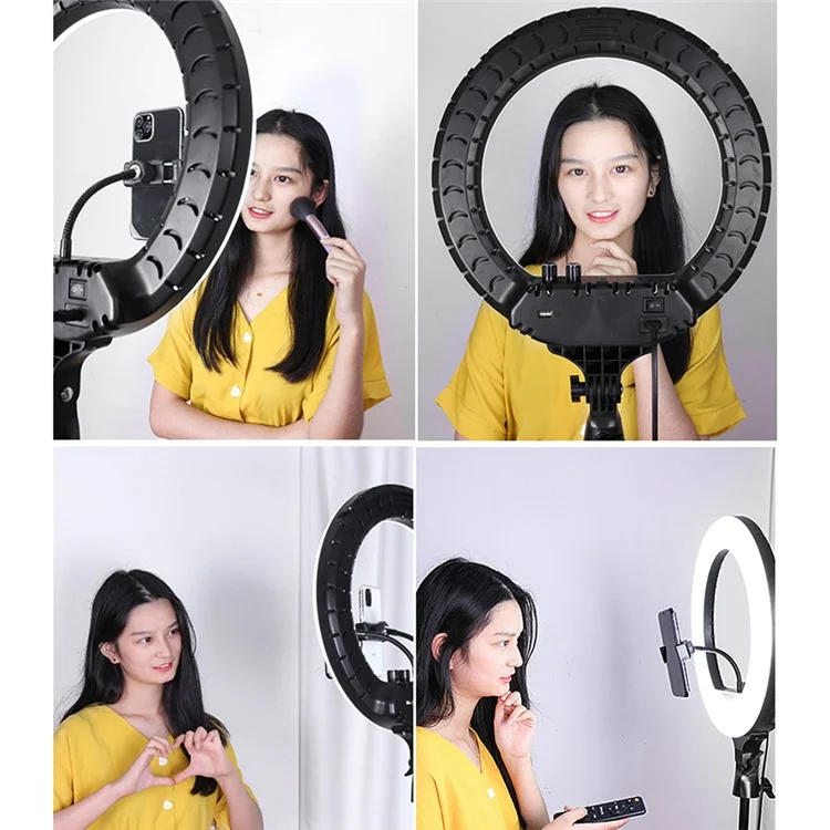 RL14 14 Inch Dimmable LED Ring Light with Remote Control for Live Streaming / Video Shooting (No Battery) - US Plug