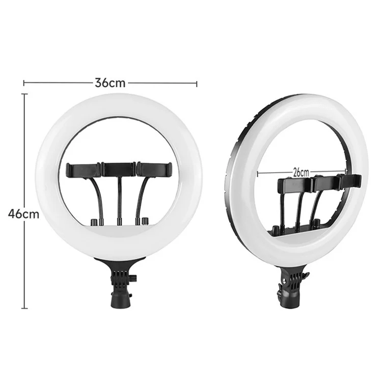 RL14 14 Inch Dimmable LED Ring Light with Remote Control for Live Streaming / Video Shooting (No Battery) - US Plug