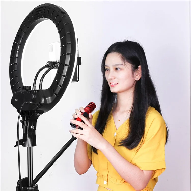 RL14 14 Inch Dimmable LED Ring Light with Remote Control for Live Streaming / Video Shooting (No Battery) - US Plug