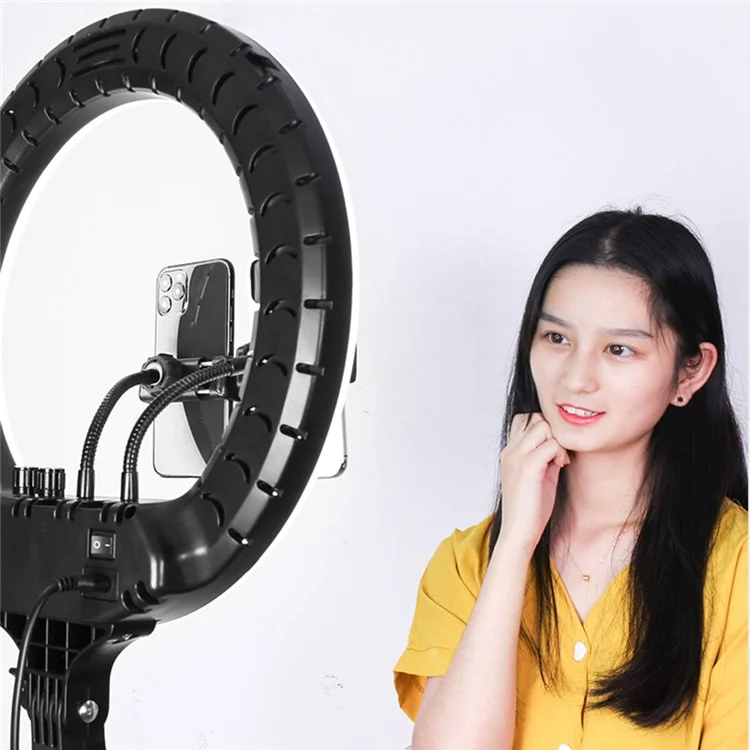 RL14 14 Inch Dimmable LED Ring Light with Remote Control for Live Streaming / Video Shooting (No Battery) - US Plug