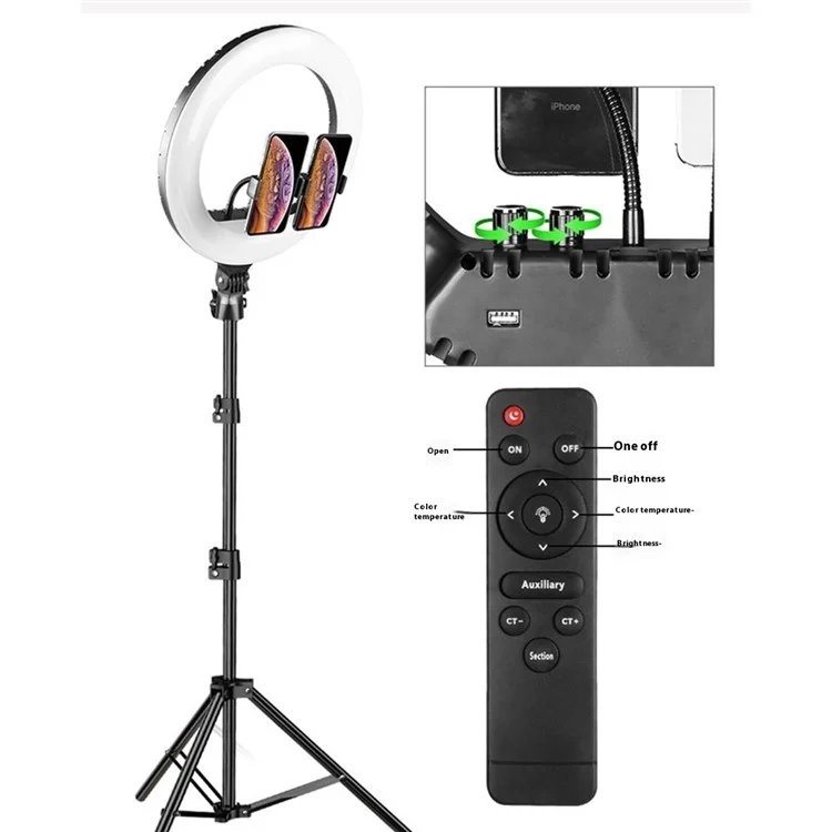 RL14 14 Inch Dimmable LED Ring Light with Remote Control for Live Streaming / Video Shooting (No Battery) - US Plug