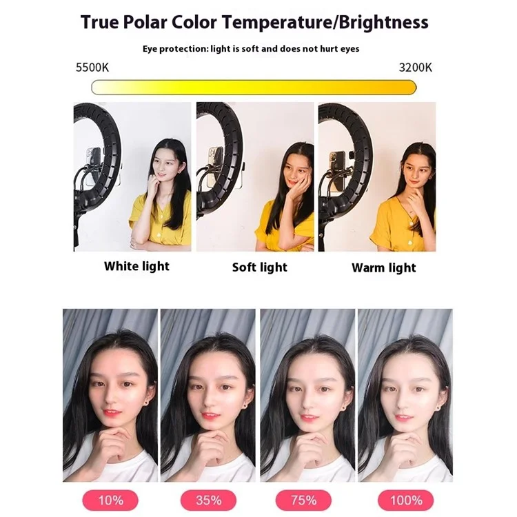 RL14 14 Inch Dimmable LED Ring Light with Remote Control for Live Streaming / Video Shooting (No Battery) - US Plug