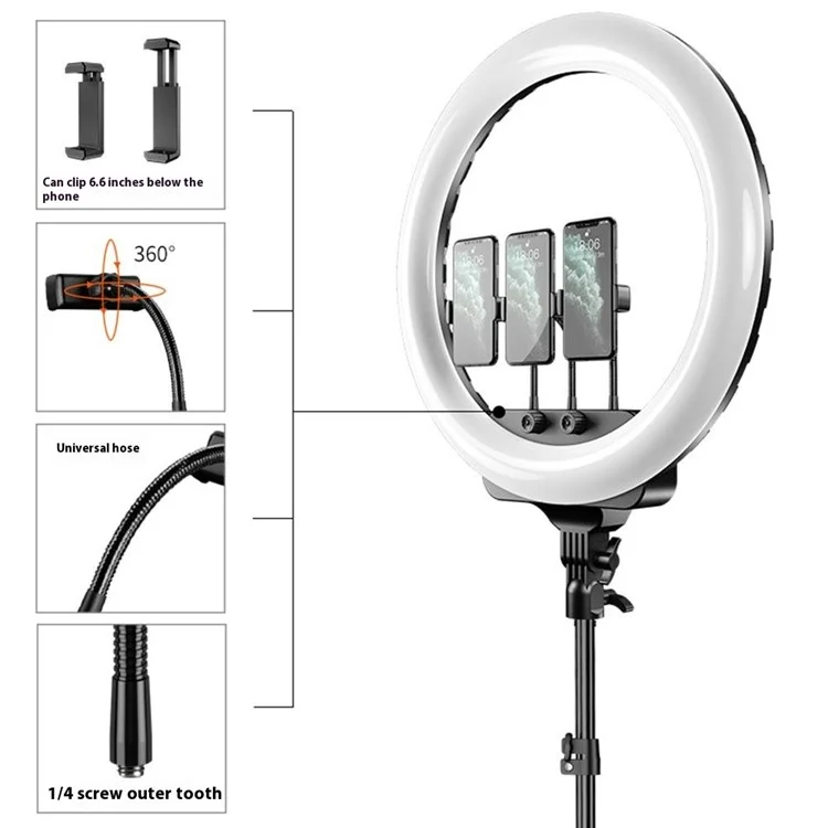 RL19 18 Inch Dimmable LED Ring Light with Remote Control for Live Streaming / Video Shooting (No Battery) - US Plug