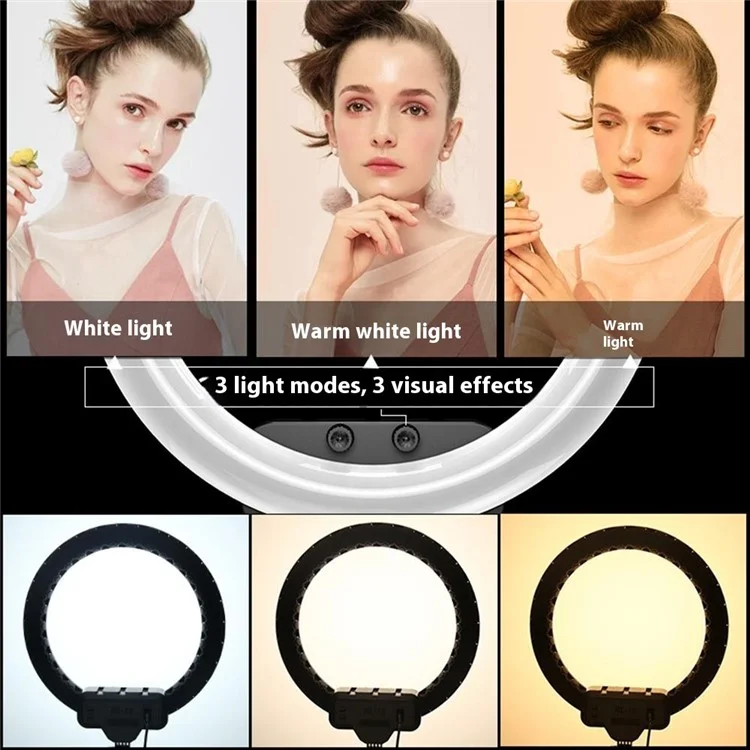 RL19 18 Inch Dimmable LED Ring Light with Remote Control for Live Streaming / Video Shooting (No Battery) - US Plug