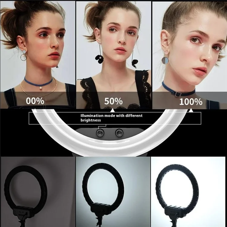 RL19 18 Inch Dimmable LED Ring Light with Remote Control for Live Streaming / Video Shooting (No Battery) - US Plug