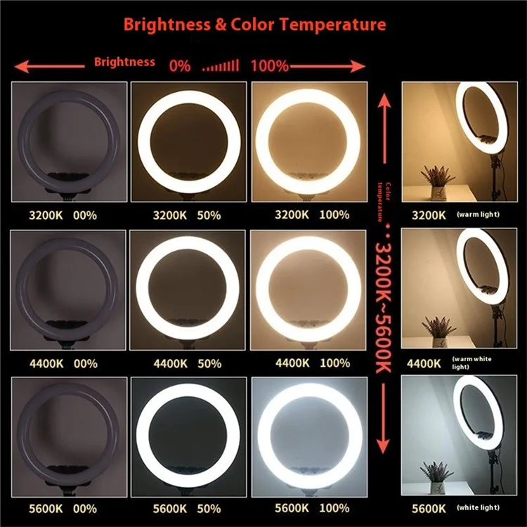 RL19 18 Inch Dimmable LED Ring Light with Remote Control for Live Streaming / Video Shooting (No Battery) - US Plug