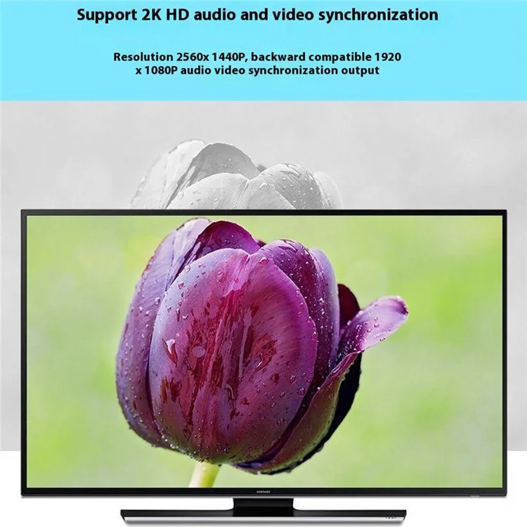 ONTEN OTN-9538 Câble Type-C vers DP Convertisseur Vidéo HD 4K pour MacBook