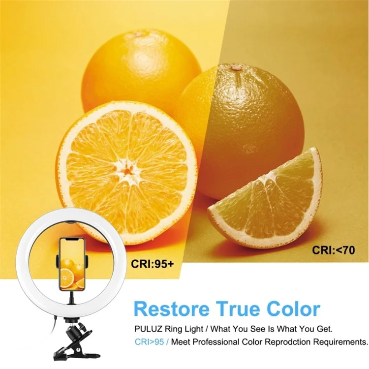 PULUZ PKT3126B LED-Ringlicht-Kit 10,2 Zoll 26 cm Videokonferenz-Beleuchtung 3 dimmbare Farben 10 Helligkeitsstufen für Kamera, Smartphone, YouTube, TikTok und Selbstporträts
