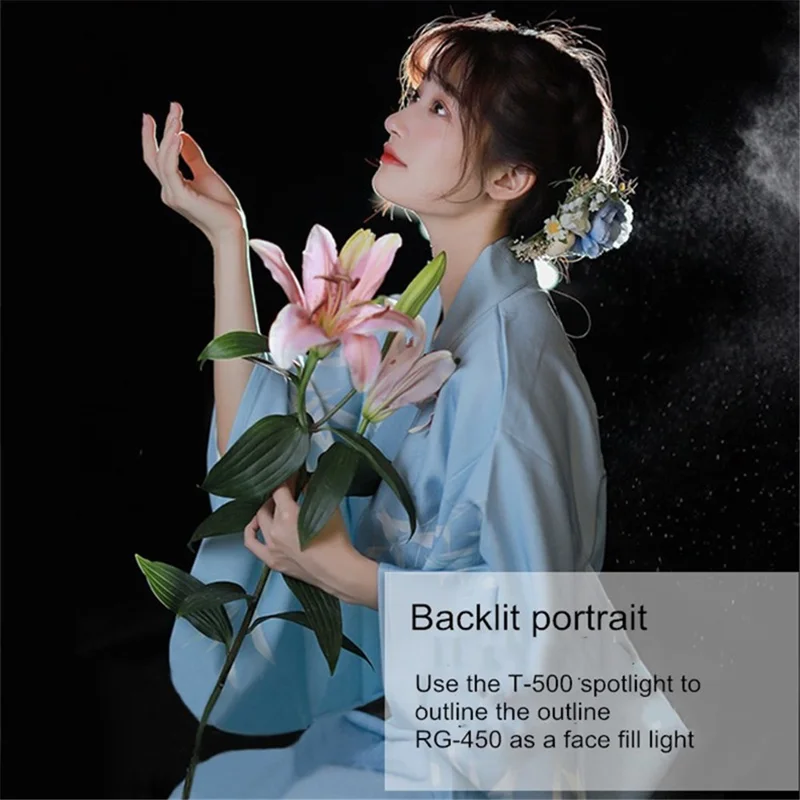 Dimmable Soft Light 3000K-6000K LED Light Photography Lighting Studio Light for Filming Recording Portraits - US Plug