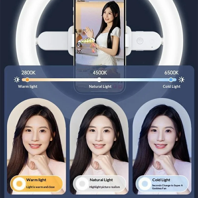 R10 360° Rotatable Clip Ring Fill Light Live Streaming Stand Rechargeable 3 Color Temperature Lighting Integrated Phone Stand
