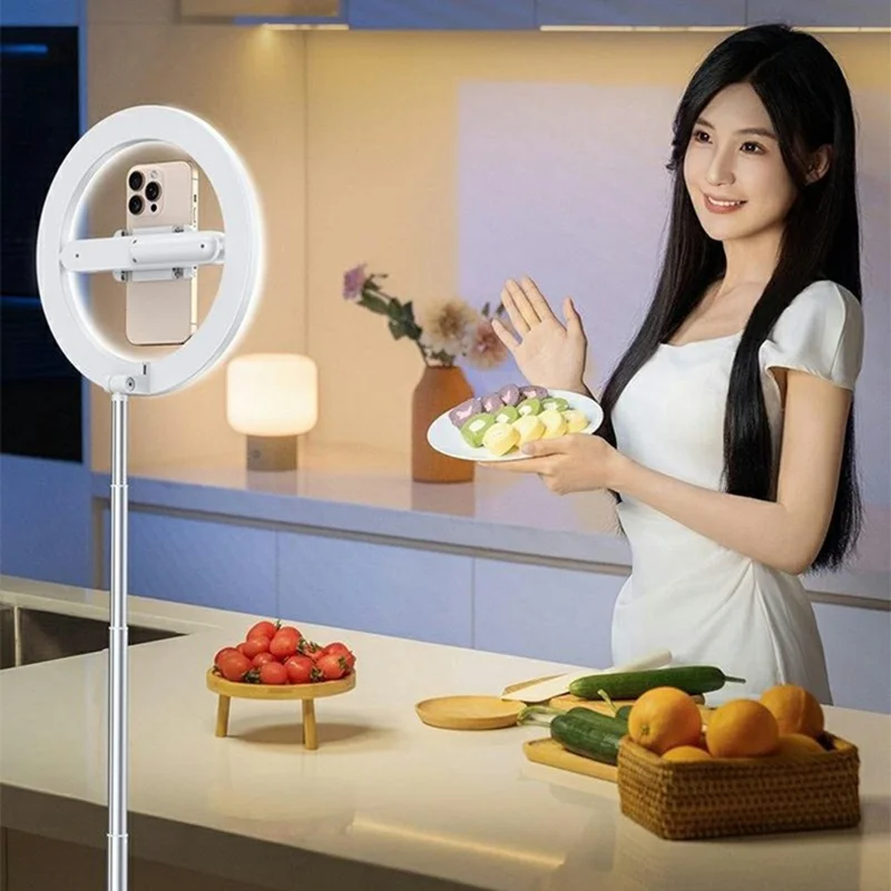 R10 360° Rotatable Clip Ring Fill Light Live Streaming Stand Rechargeable 3 Color Temperature Lighting Integrated Phone Stand