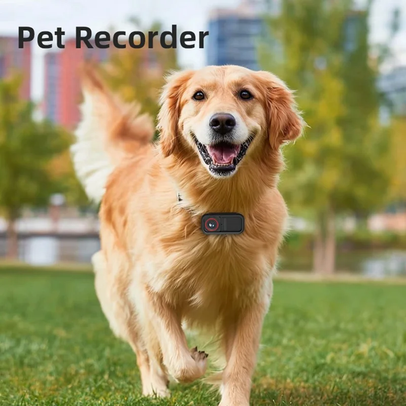 FF006 1,47-Zoll-HD-Bildschirm-Daumenkamera mit magnetischer Ladetasche, First-Person-View-Vlogging-Minikamera - Schwarz