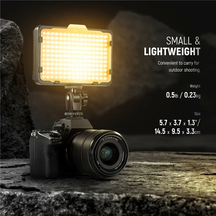 NEEWER Immable 176 LED Panel Video Light for Canon Nikon Pentax Sony DSLR Cameras