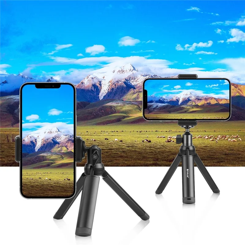 PULUZ PU3092B Mini Ball Head Screw Tripod Mount with 1 / 4 Inner Screw 360 Degree Rotating Base Adapter for DSLR Cameras