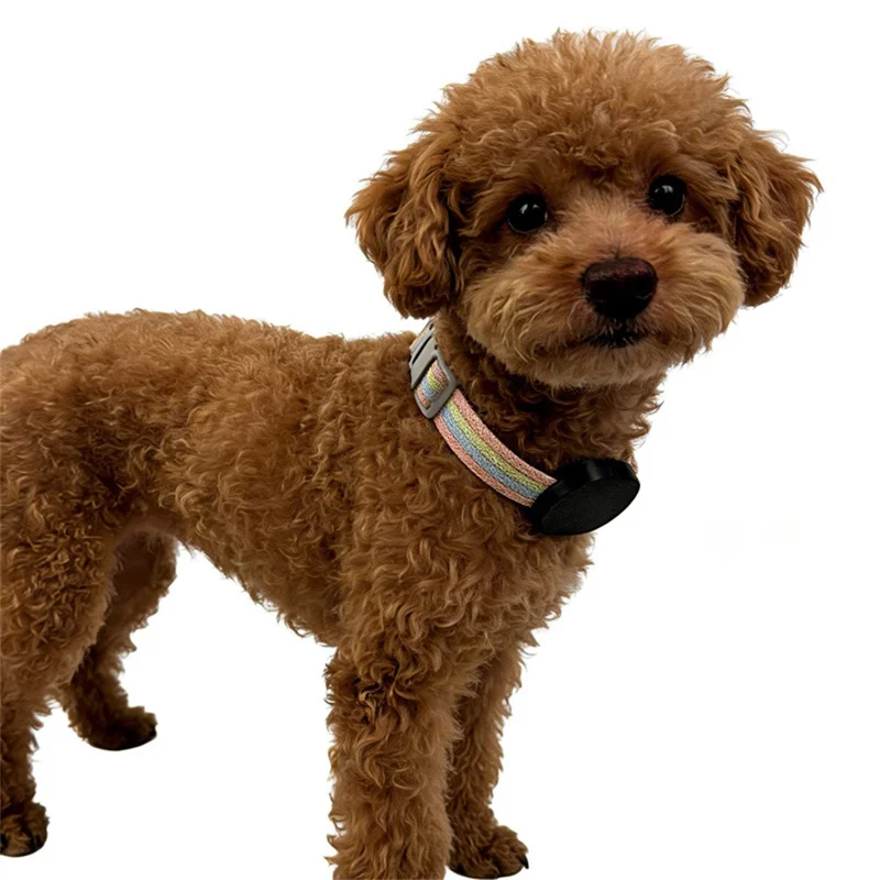 915810 Support pour collier de chat Xiaomi Tag en plastique d'ingénierie, boîtier de protection antiperte - Noir