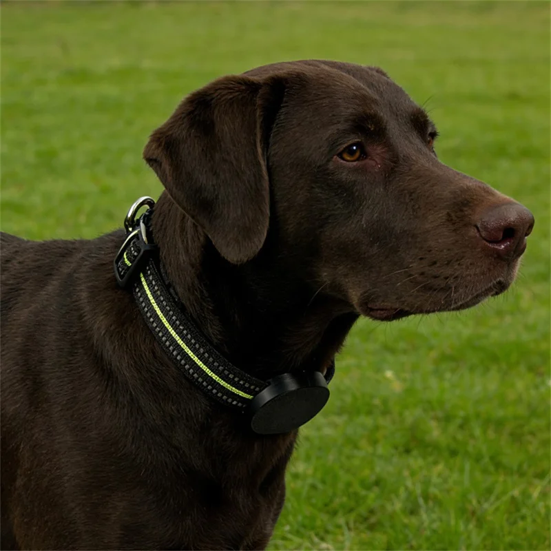 915810 Support pour collier de chat Xiaomi Tag en plastique d'ingénierie, boîtier de protection antiperte - Noir