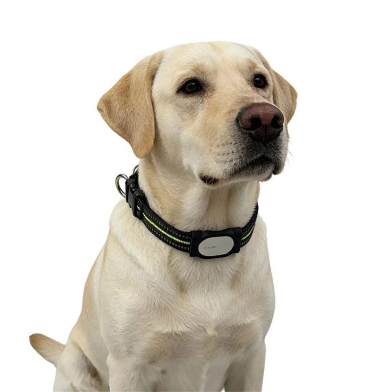 915809 Pour Xiaomi Tag Smart Tracker Sangle de Collier pour Animaux Adaptateur Support de Fixation en Plastique - 10 mm