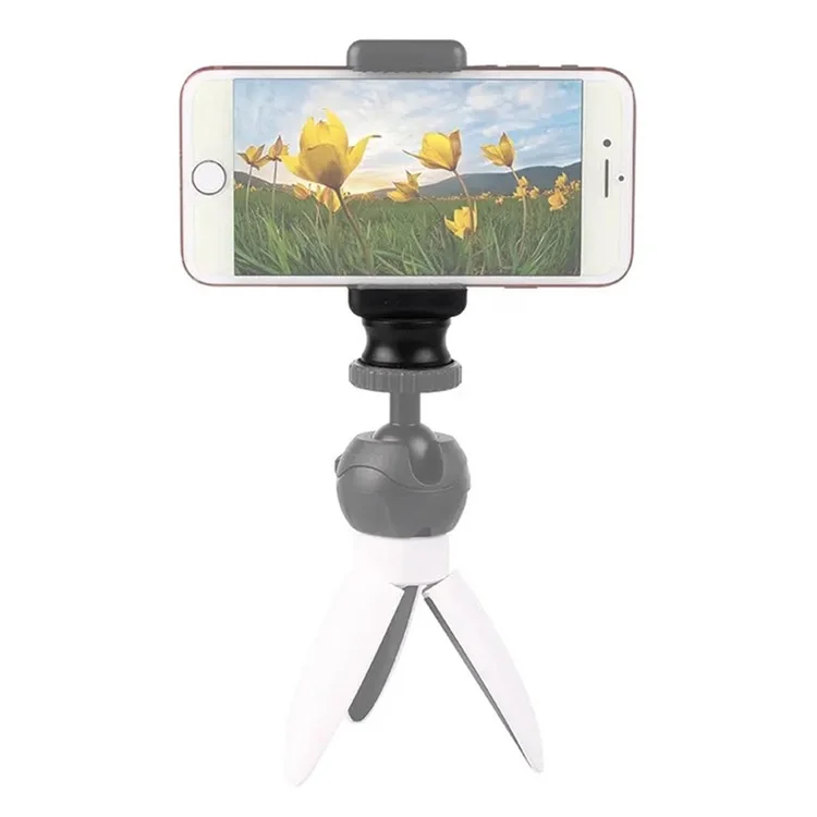 F041 For GoPro Camera Mount Converter Tripod Digital Camera 3 / 8" Female to 1 / 4" Male Screw Adapter