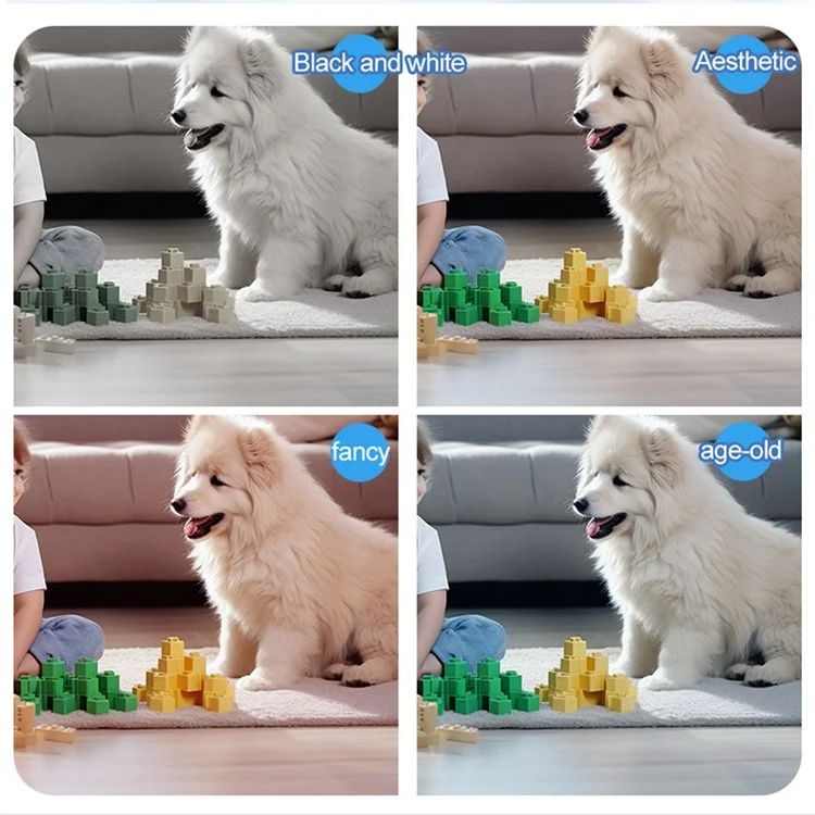 Câmera digital infantil de lente dupla de 2,0 polegadas com design de papagaio de desenho animado, gravador de vídeo com cartão TF de 32 GB + leitor de cartão - Verde