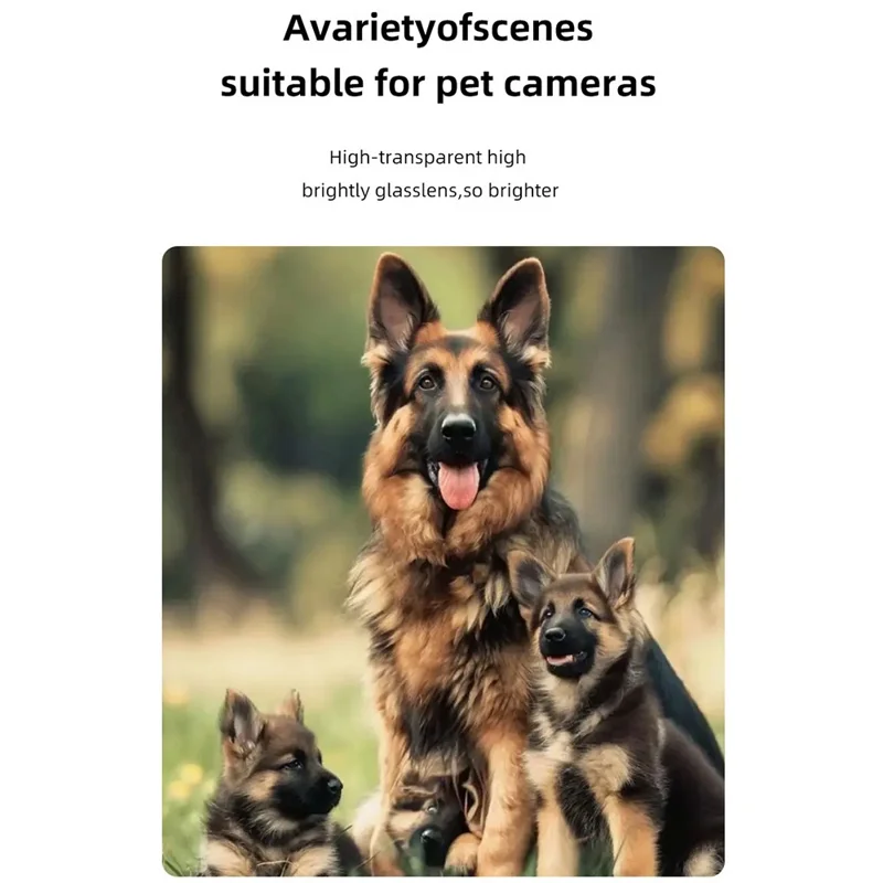 DC23 Mini Digital Camera 0.96 Inch Screen CCD HD Video Recorder for Students, with 32GB Memory Card + Card Reader - Black