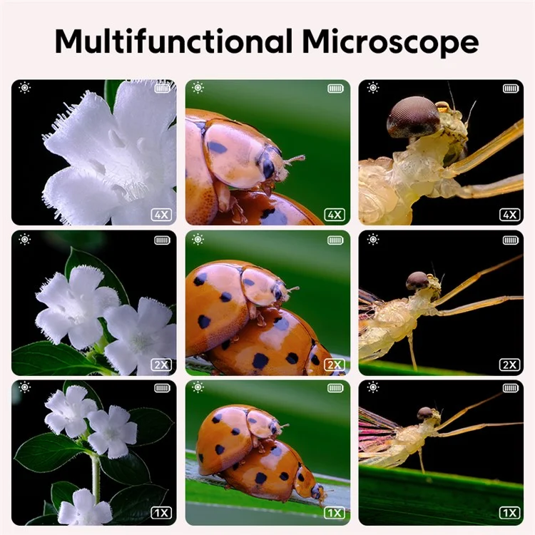 335 Upgraded 500X Magnification 2-inch IPS Screen Children Microscope Science Experiment Toy - Pink