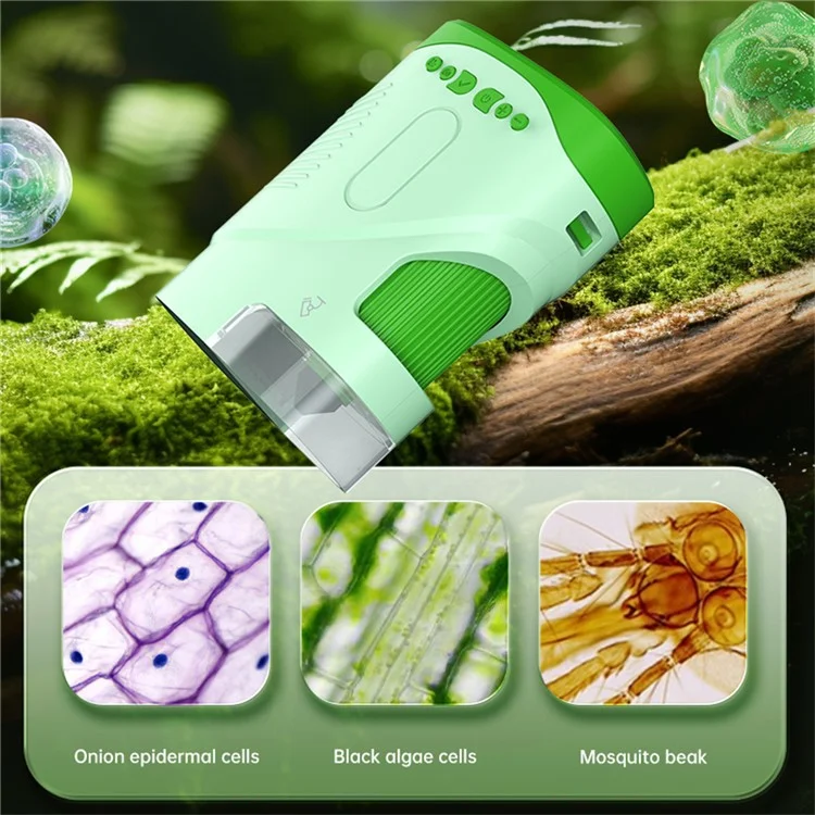 XV-7 Microscopio Per Bambini Schermata a Colori da 2 Pollici Microscopio ad Alta Definizione 1000x - Verde