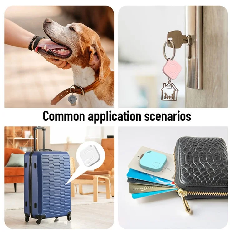 FD100 Localizador Bluetooth para mascotas y equipaje compatible con la aplicación Apple Findmy - Negro