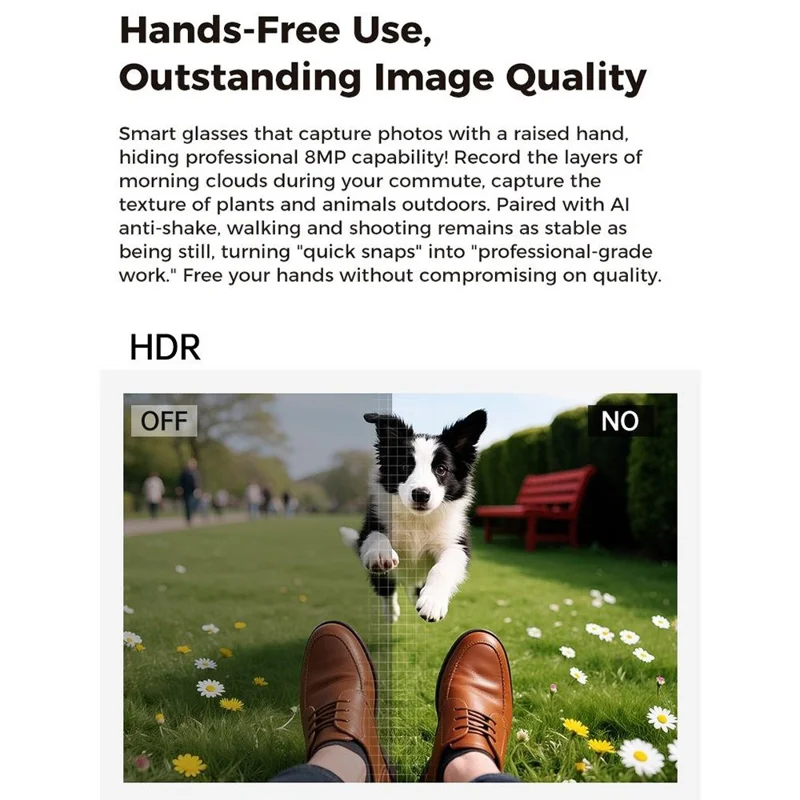 M02ULTRA IP54 Waterproof 8MP AI Smart Glasses with Charging Case 4K Shooting Translation Glasses with Interchangeable Lenses - Black + Brown Charging Case