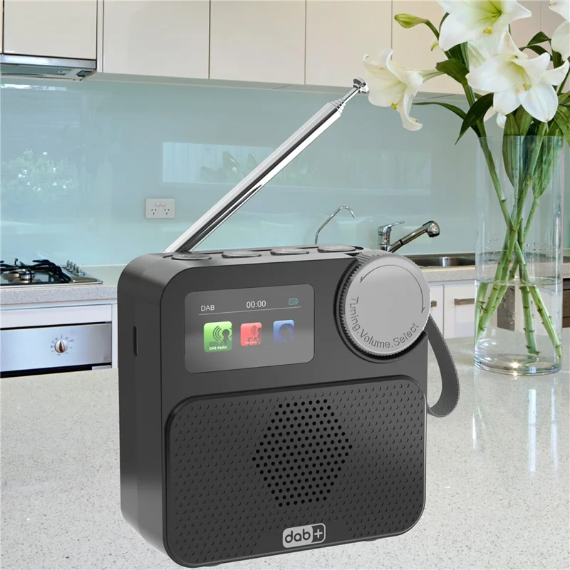 P2D 1.47 Inch Bluetooth-compatible Portable DAB Radio with TF Card MP3 Player - Black
