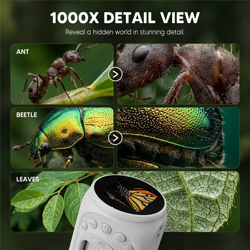 388 Tragbares Kinder-Digitalmikroskop 1,54 Zoll 1000X Zoom 8 LED Wiederaufladbares Mikroskop für die Natur - Weiß