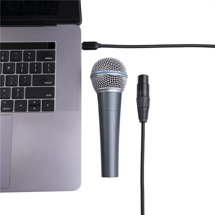 TY20F 3m Type-C Male to XLR Female Mic Audio Cable Microphone Recording Cord