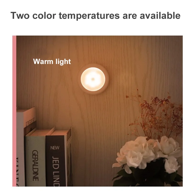Creative Human Body Sensor Lamp Wardrobe Floor Bedside Control Lamp Smart Home Mini Night Light - Silver / White Light
