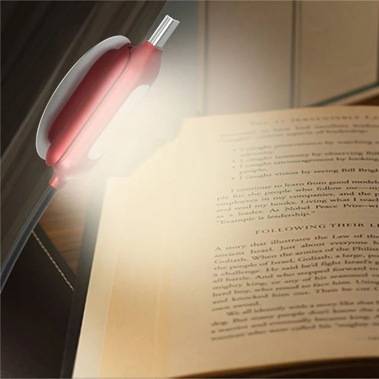 WSKEN Magnetic 2-in-1 LED Reading Light + Type C Fast Charging Cable 2m