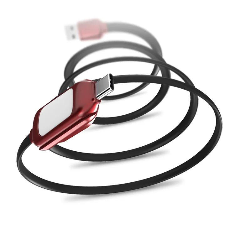 WSKEN Magnetic 2-in-1 LED Reading Light + Type C Fast Charging Cable 2m