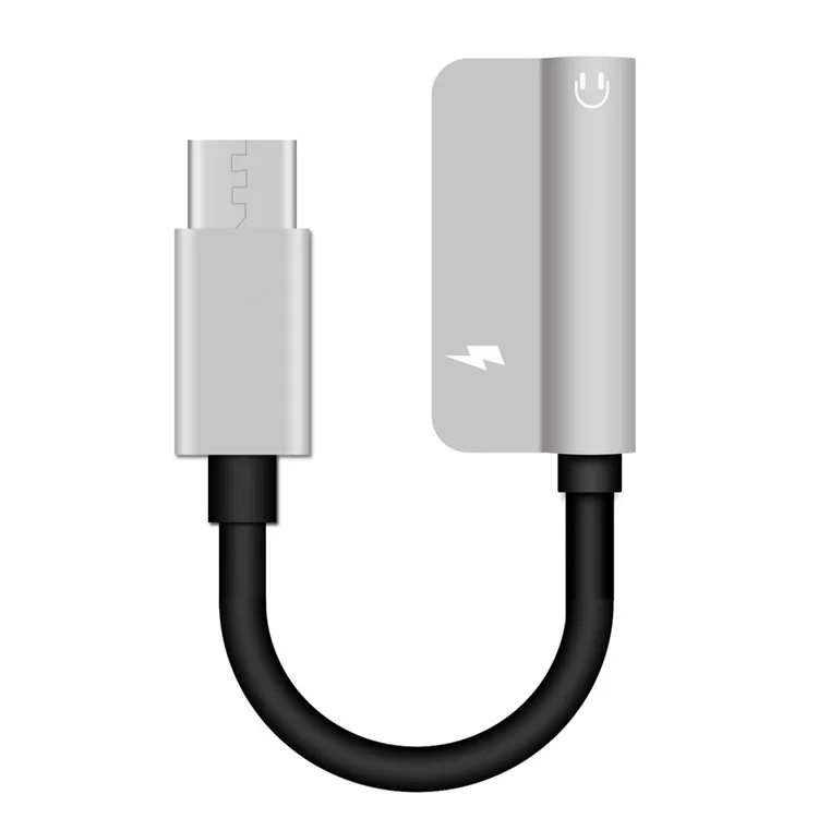 HAT PRINCE HC-13 Cable adaptador USB Tipo C a 3,5 mm de audio + Tipo C Hembra Carga - Plateado