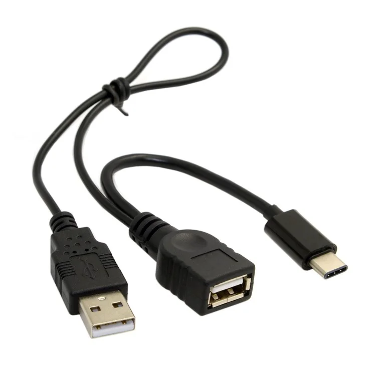 USB 3.1 Typ-c zu USB 2.0 Female Otg-datenkabel Mit Extraler Leistung - Schwarz