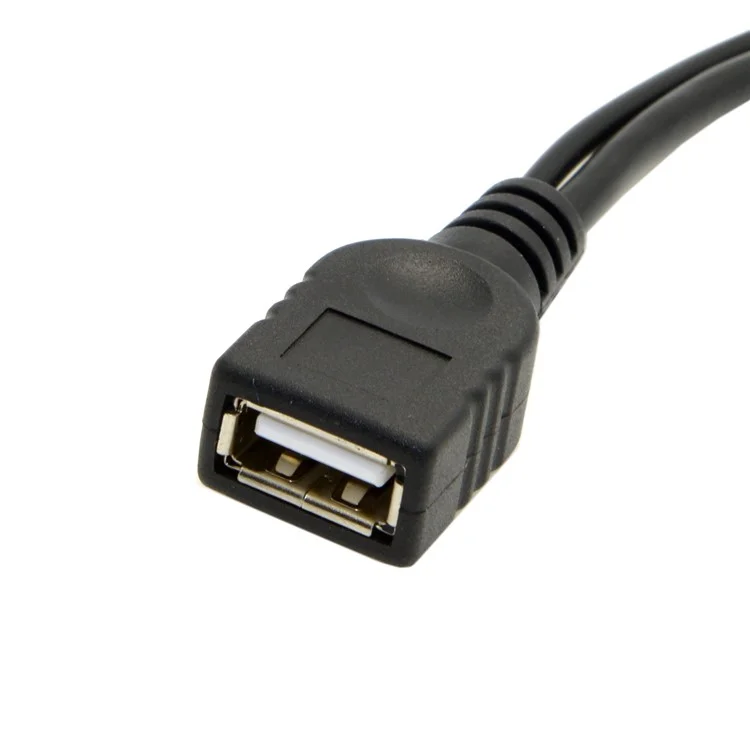 USB 3.1 Type-C to USB 2.0 Female OTG Data Cable with Extral Power - Black