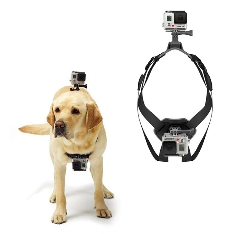 Fetch Dog Harness Chest Shoulder Strap Belt Mount for GoPro Hero 4/3+/3/2/1 SJ4000/5000/6000