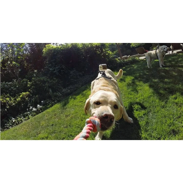 Fetch Dog Harness Chest Shoulder Strap Belt Mount for GoPro Hero 4/3+/3/2/1 SJ4000/5000/6000