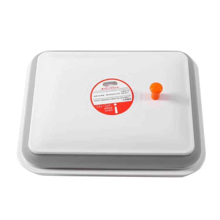 2300ML Multi-functional Rectangle Sealed Food Storage Box with Press Button (AK-2300-BAC-C)
