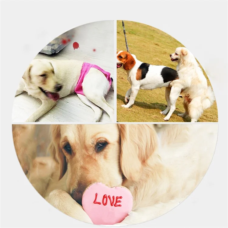 4PCS/Lot Washable Reusable Breathable Mesh Dog Diapers Sanitary Physical Pants, Size: M