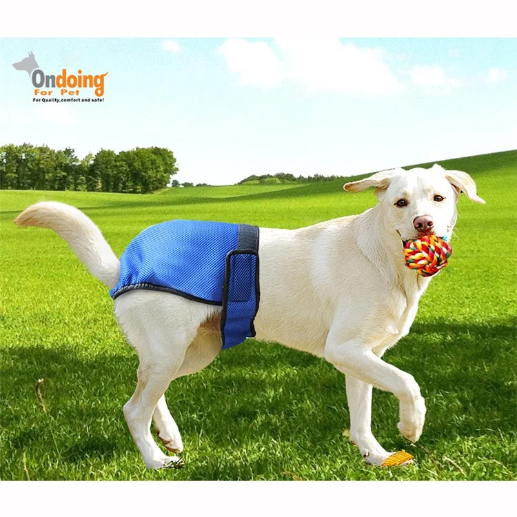 4PCS/Lot Washable Reusable Breathable Mesh Dog Diapers Sanitary Physical Pants, Size: M