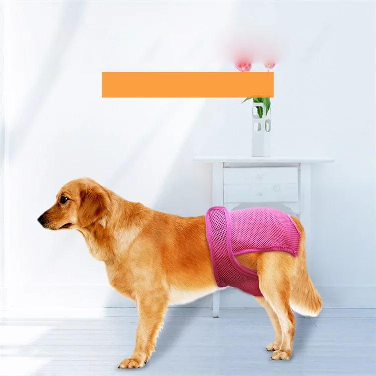 4PCS/Lot Washable Reusable Breathable Mesh Dog Diapers Sanitary Physical Pants, Size: M